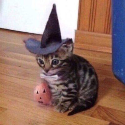 Данько Владислав Сергеевич