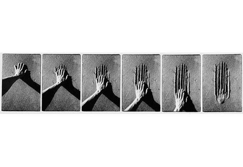 Вашенков Павел Дмитриевич – ТГУ.Аккаунты